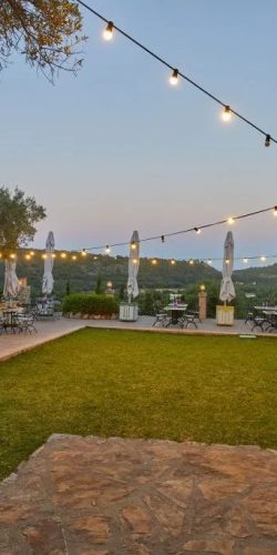 371139760_881533296930456_9042360586567124014_n