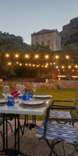 371887150_881533210263798_7463872728150958099_n