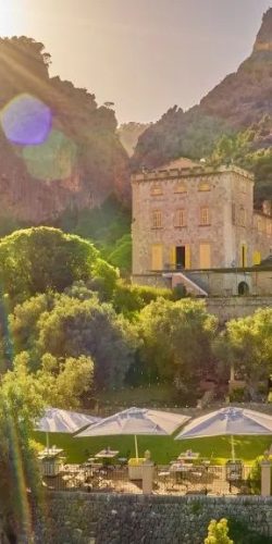 445179823_1072029297880854_2920077825915012111_n