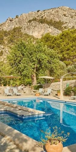 463206005_1179974163753033_9098423591338388663_n