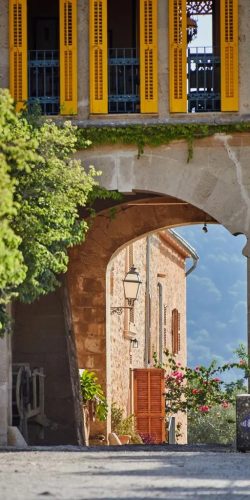 465365682_1195539502196499_2971542607344732245_n