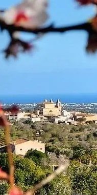 Alqueria-Blanca_oben-e1461439871226