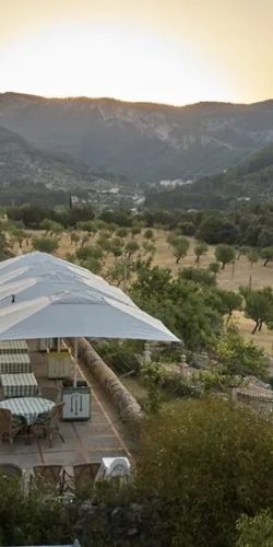 Alqueria_Blanca_0407