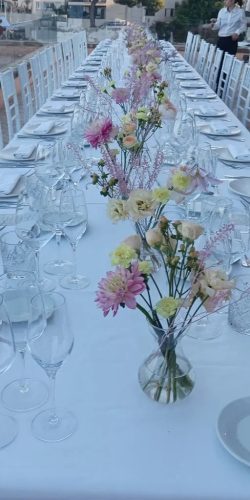 IMG_20230806_083700-1